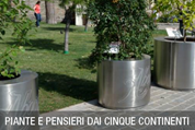 ANNO 2013 ANNO 2013